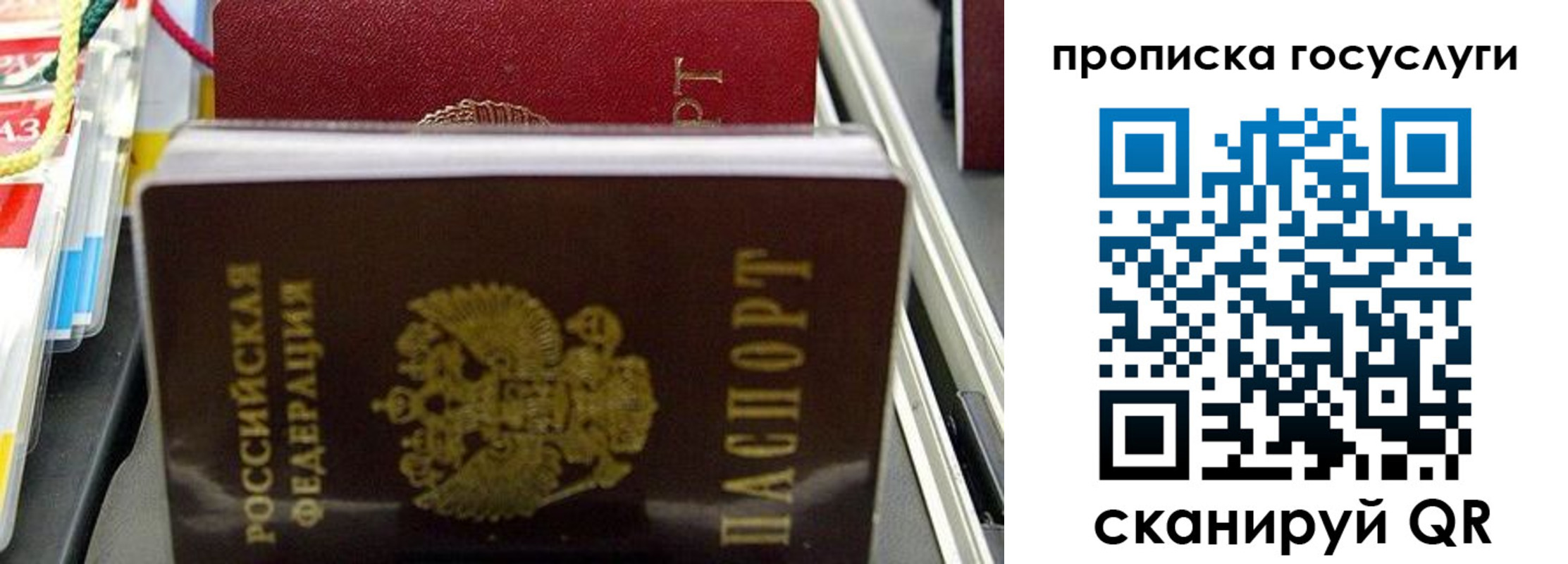 где прописаться в Волосово